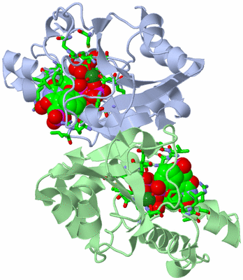 Image Asym./Biol. Unit - sites