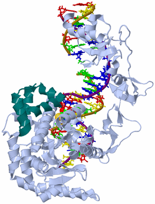 Image Asym./Biol. Unit