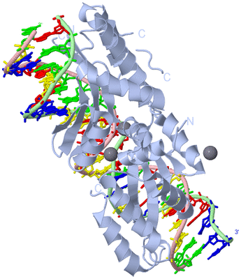 Image Biological Unit 1