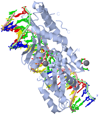 Image Biol. Unit 1 - sites