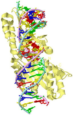 Image Biological Unit 2