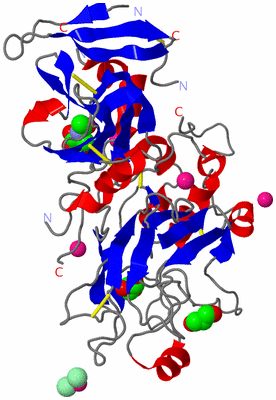 Image Asym./Biol. Unit