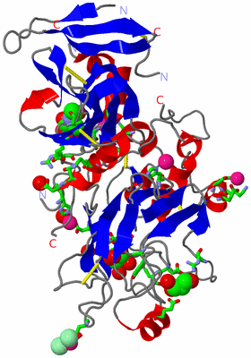 Image Asym./Biol. Unit - sites