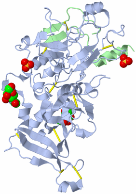 Image Biological Unit 1