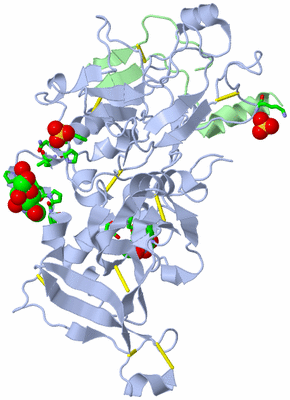 Image Biol. Unit 1 - sites