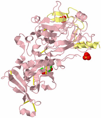 Image Biological Unit 2