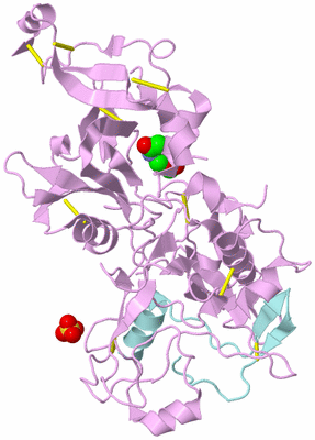 Image Biological Unit 3