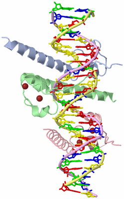 Image Asym./Biol. Unit