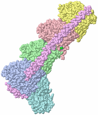 Image Asym./Biol. Unit