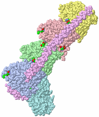 Image Asym./Biol. Unit - sites