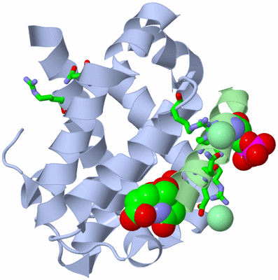 Image Asym./Biol. Unit - sites