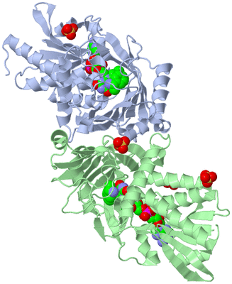 Image Asym./Biol. Unit