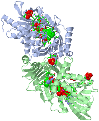 Image Asym./Biol. Unit - sites