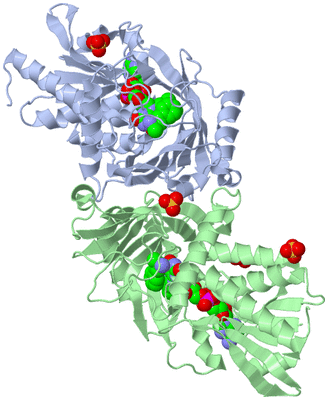 Image Asym./Biol. Unit