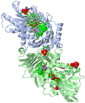 Image Asym./Biol. Unit - sites