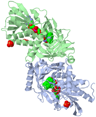 Image Asym./Biol. Unit