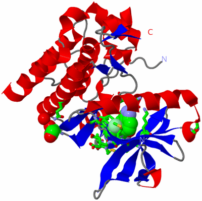 Image Asym./Biol. Unit - sites