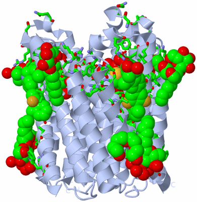 Image Biol. Unit 1 - sites