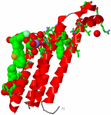 Image Asym. Unit - sites