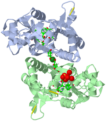 Image Asym./Biol. Unit - sites