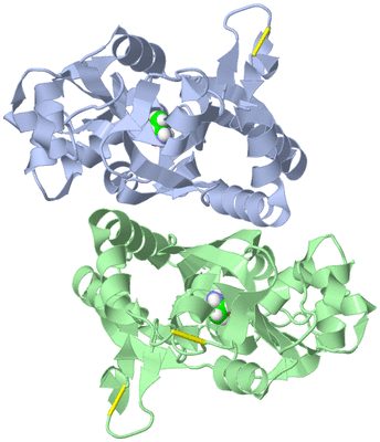 Image Asym./Biol. Unit