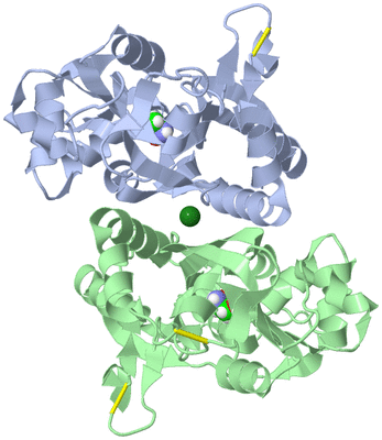 Image Asym./Biol. Unit