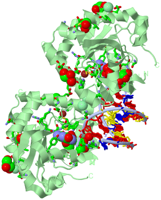 Image Biol. Unit 1 - sites