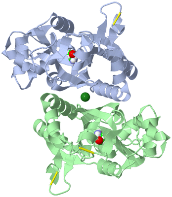 Image Asym./Biol. Unit