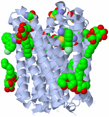 Image Biological Unit 1