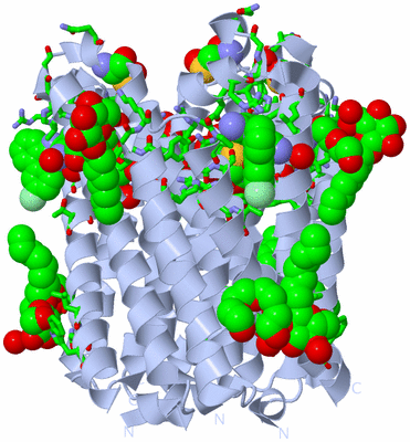 Image Biol. Unit 1 - sites