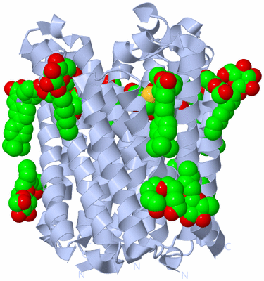 Image Biological Unit 1