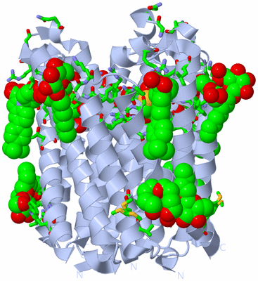 Image Biol. Unit 1 - sites