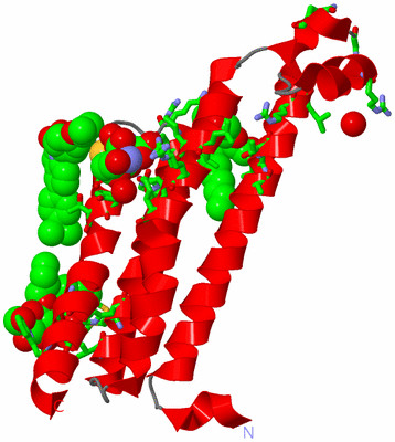 Image Asym. Unit - sites