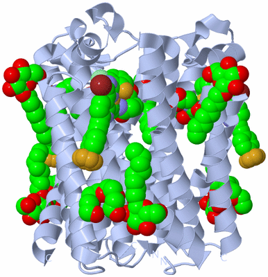 Image Biological Unit 1