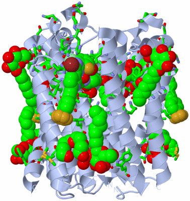 Image Biol. Unit 1 - sites