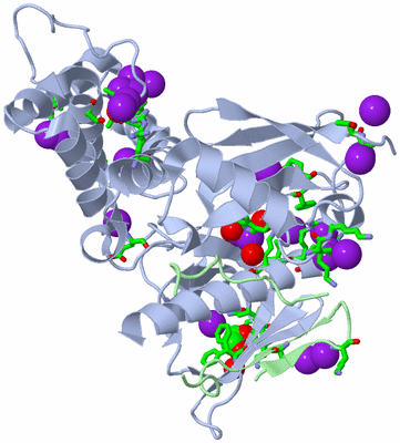 Image Asym./Biol. Unit - sites