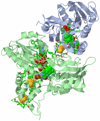 Image Biol. Unit 1 - sites