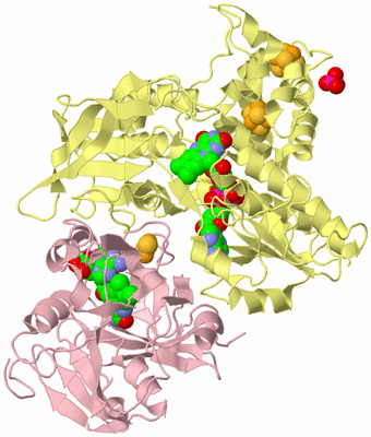 Image Biological Unit 2