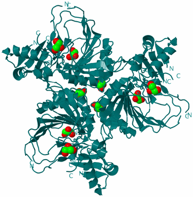 Image Biological Unit 1