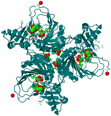 Image Biol. Unit 1 - sites