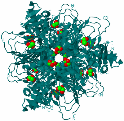 Image Biological Unit 2