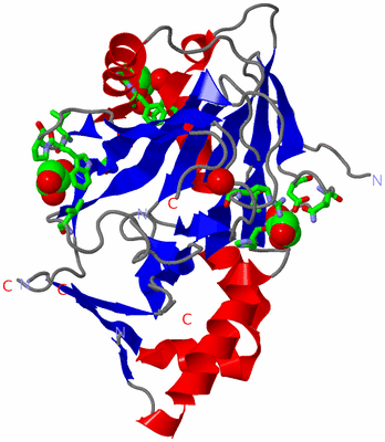 Image Asym. Unit - sites