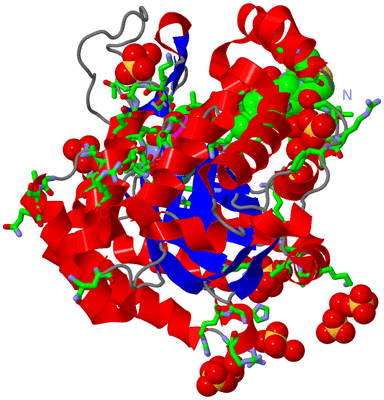 Image Asym./Biol. Unit - sites