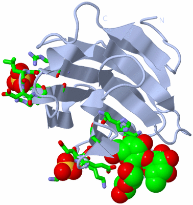 Image Biol. Unit 1 - sites