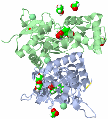 Image Asym./Biol. Unit