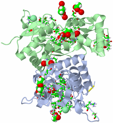 Image Asym./Biol. Unit - sites