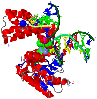 Image Asym./Biol. Unit