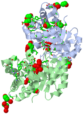 Image Asym./Biol. Unit - sites