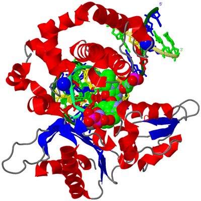 Image Asym./Biol. Unit