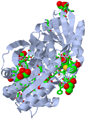 Image Biol. Unit 1 - sites